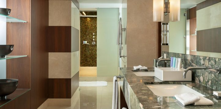 ambassador-suite-bathroom