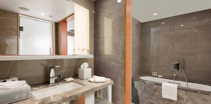 deluxe-suite-bathroom-1
